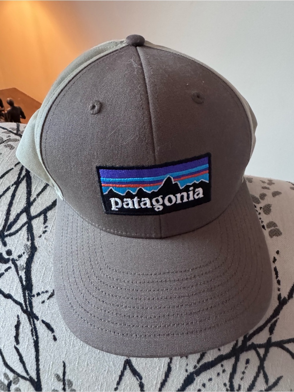 Patagonia Brown Trucker Hat